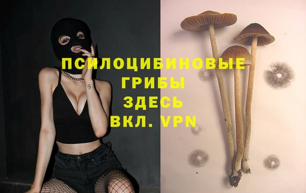 мет Абаза